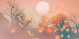 a photo of blurred trees during the day