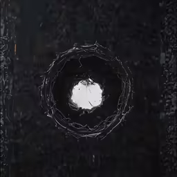 a black frame is on the wall with a picture of the tree outside