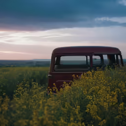 an old bus parked in a field of flowers