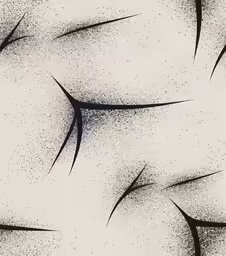 a texture in black and white has been drawn with the brush