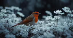 a orange and brown bird sitting in the grass