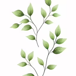 a plant is made out of green leaves