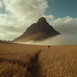 an image of a field with mountains in the background