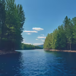 the view of the river from the bridge near it
