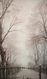 trees on a misty day next to a street
