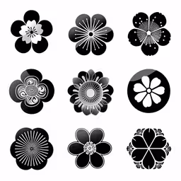 a collection of japanese style flowers,six types of flowers on white background