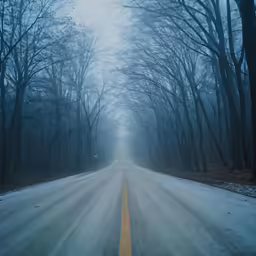 foggy day on the road to nowhere in the woods