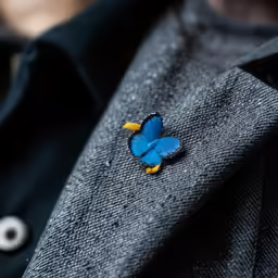a close up view of a butterfly pinned to jacket