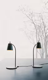 a room with two lamps on the side and tree in the background