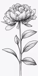 a drawing of a flower on a white background,a large flower on a stem with leaves