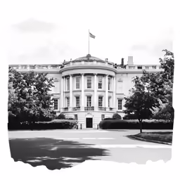 the white house with a tree on a sunny day