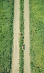 two people walking down a dirt road with grass behind them