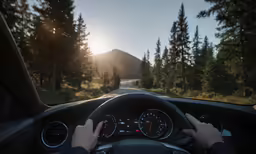a person driving a car in the sun