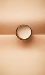 a gold plate on the back of a brown wall