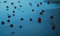 several red dots are falling down from the top of water