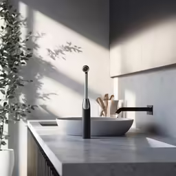 two sinks in the bathroom, with a black toothbrush in front