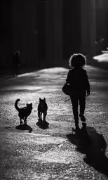 two dogs are walking down the street as someone walks by