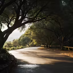 a very long road with some trees by it