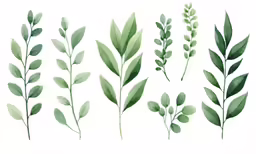 four different types of leaves in a row