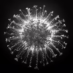 an image of fireworks during the night
