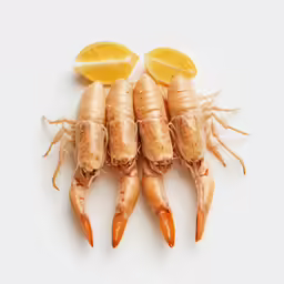 a picture of some root vegetables next to some lemon