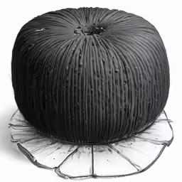 a round black object is on display for viewing