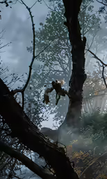 there is a bird flying in the dark trees