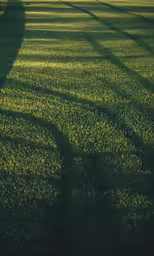 the shadow of a person walking in a park