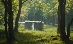 trees, grass and hay bales in the background