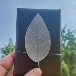the back side of a black lighter with a leaf on it