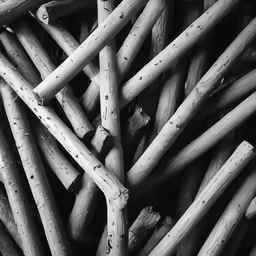 a bunch of sticks is shown stacked on top of each other