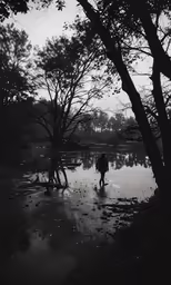black and white photo of people walking in puddle in forest
