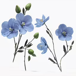 blue flowers on white background with green leaves,some very pretty blue flowers on some big stems
