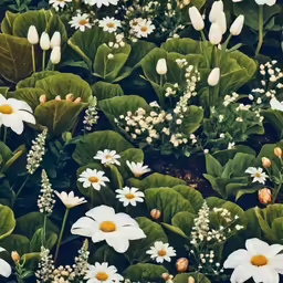 the flowers are in the green leaves and around them