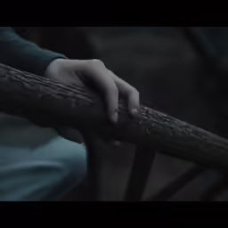 a person holding a tree branch in their hand