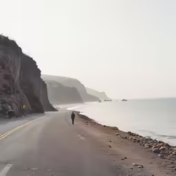 a person walks down the road beside the water