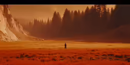 a man standing in a field next to a forest