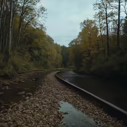 train tracks on a path near the water