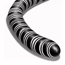 a black and white photograph of an oval shaped object