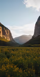 the mountains are seen near a river and yellow flowers