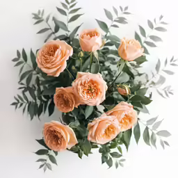 there are many peach colored roses in a bouquet