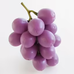 a small cluster of purple grapes covered with water drops