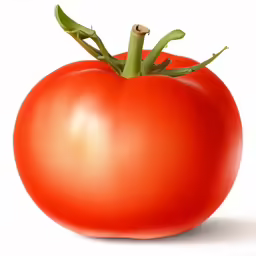 a fresh red tomato on a white background