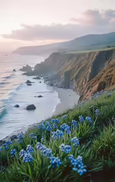 blue flowers line the shore of an ocean