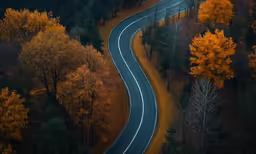 an aerial photo of a curving road