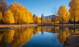 yellow trees around a lake surrounded by rock wall