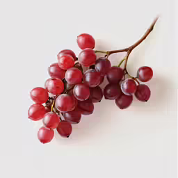 a cluster of ripe grapes on a branch