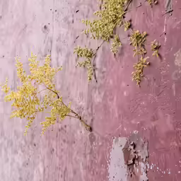 small yellow flowers are on a dirty wall