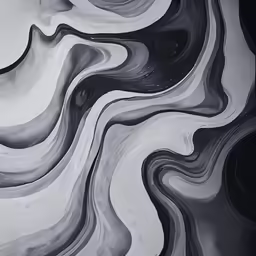 an artistic image with black and white waves