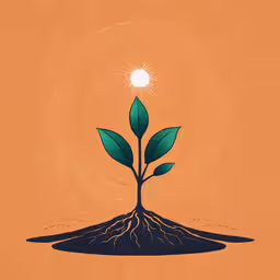a small tree with roots and sun in the background,a green plant with sprouts growing from the ground